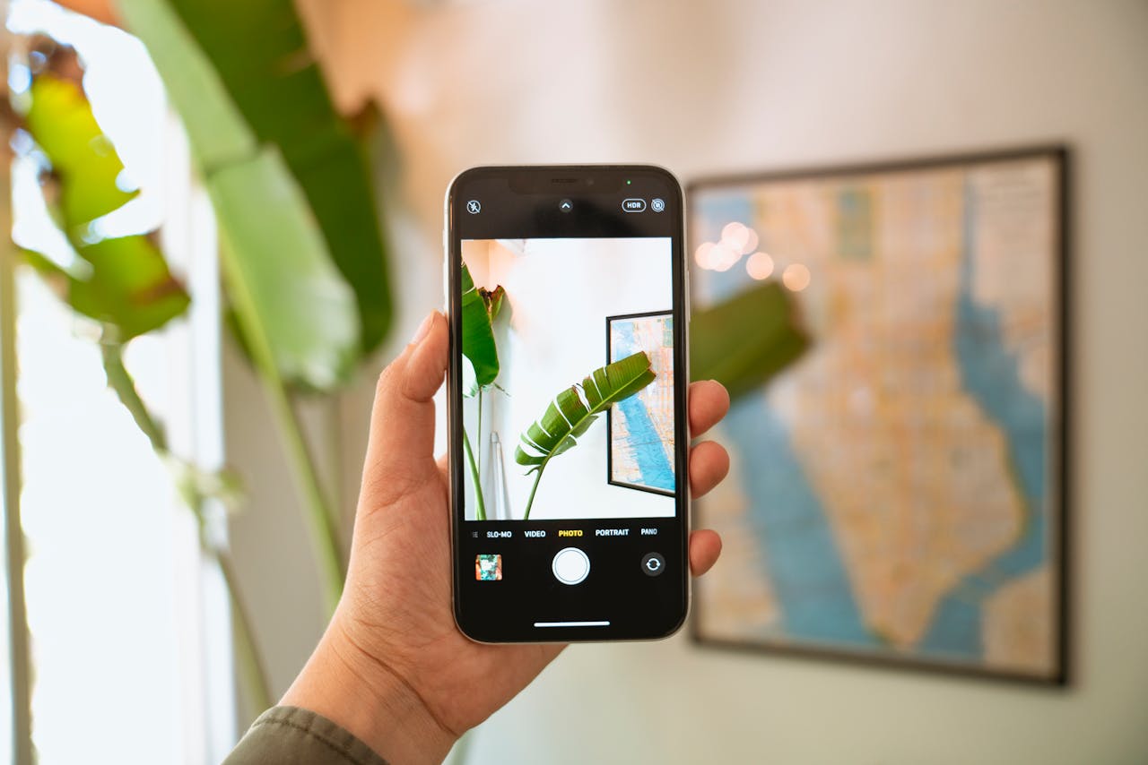 A hand holds a smartphone capturing an indoor leaf with map in the background.
